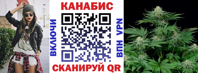 Шишки марихуана план  даркнет сайт  Богданович 